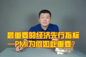 最重要的经济先行指标—PMI为何如此重要视频封面