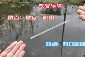 新自制的长脚吸管浮漂，优点是便宜耐用，缺点是有口就能中鱼视频封面