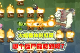 万物皆可植物大战僵尸：火焰森林的彩虹菇，哪个僵尸能吃到呢？视频封面