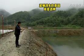 泥鳅消失的原因，竟是这样视频封面