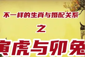 生肖虎与生肖兔的婚配关系