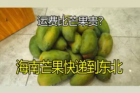 从海南快递水果回东北，运费贵不贵，到底合不合适，小庄告诉你视频封面