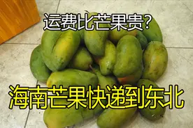 从海南快递水果回东北，运费贵不贵，到底合不合适，小庄告诉你视频封面