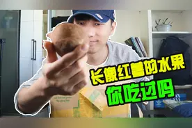 试吃20块一箱天山雪莲果 外形像极地瓜 能和天山雪莲有关系吗？视频封面