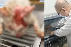 痛心！太原被开水烫伤的怀孕母猫因伤重死亡，医生：受伤面积太大视频封面