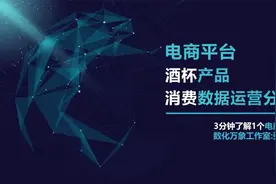 电商市场:酒杯产品消费数据运营分析【多平台整合】视频封面