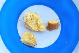 自钓鱼以来用过最给力的饵料，效果远远超过商品饵视频封面