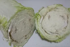 新买的大白菜外表新鲜，里面却是烂的，大妈疑惑，大家知道原因吗视频封面