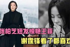 美出天际！张柏芝短发惊艳王菲，谢霆锋看了都喜欢视频封面