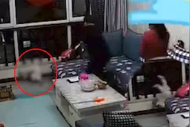 山西一幼童背靠抱枕倚空摔下，颈部接地身体后折，爷爷一秒抱起