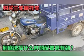 购买三轮车到底选择什么配置最有劲？师傅来告诉你不知道的小秘密视频封面