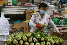 新疆：进一步明确人员离疆和保障物流通畅政策视频封面