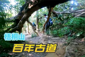 深圳梧桐山最陡峭的一条登山径，百年古道，土到最原始的登山路线视频封面