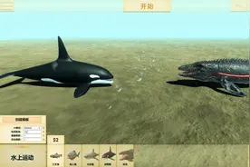 虎鲸单挑沧龙，谁的战斗力更强？最后结局差点笑糊了视频封面
