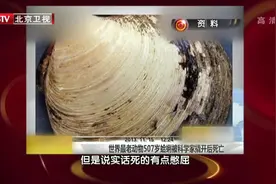 养生堂：来看看世界上最老动物507岁蛤蜊视频封面