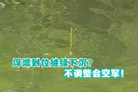浮漂到位又继续下沉，可能问题出在这里，这样改变实用效果好！视频封面