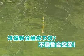 浮漂到位又继续下沉，可能问题出在这里，这样改变实用效果好！视频封面