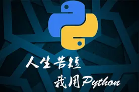 Python爬虫实战：采集王者皮肤数据视频封面