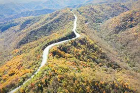 旬邑一条无名公路，竟藏着秋季绝美风景视频封面