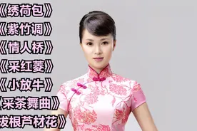 民间小调《绣荷包》《紫竹调》《情人桥》《采红菱》《小放牛》视频封面