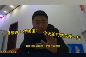 麻雀晚上会栖息在农村什么地方，我们拿手电筒找一下，真会藏