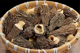 你知道吃羊肚菌的好处吗？分享三个孩子宝妈食谱，营养又好吃