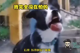 不用吓我，你看我的表情，完全没在怕