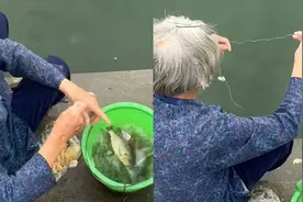 老人坐河边直接拿线穿饵钓鱼，一扔一个准秒获半桶，钓友看后炸锅视频封面