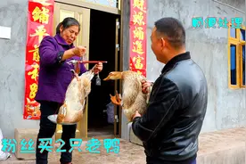 帮粉丝买2只老鸭，就是鸭毛太难拔了，结果后来自己却煮来吃上了
