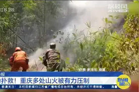致敬逆行英雄！经过消防员全力扑救，重庆多处山火被有力压制视频封面
