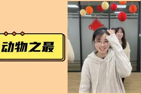 动物之最，你能猜出多少呢~视频封面