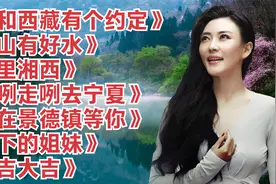 徐千雅经典歌曲《我和西藏有个约定》《高山有好水》等专辑，金典