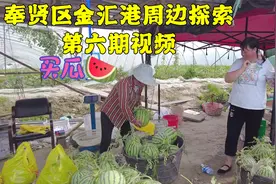 我是上海人，买东西从不贪小，但是讨价还价的习惯是改不了的视频封面