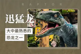 迅猛龙——大众最熟悉的恐龙之一