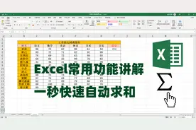 Excel表格怎么自动求和，Excel基础入门教程，一秒快速自动求和视频封面