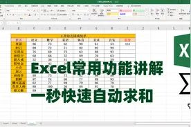 Excel表格怎么自动求和，Excel基础入门教程，一秒快速自动求和视频封面
