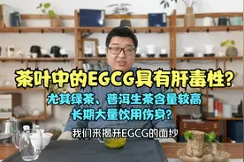 茶叶中的EGCG具有肝毒性？绿茶普洱生茶含量较高，长期饮用伤身？视频封面