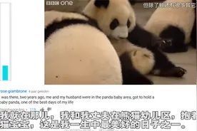 YouTube网友看BBC介绍熊猫评论：我愿意花1000美元和熊猫玩一天！视频封面