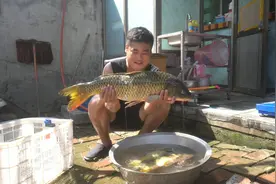 农村特色铁锅大鲤鱼，整整11斤加上五花肉，慢炖4小时流口水了视频封面