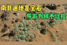 南非遍地都是“玉石”，导游却不让捡，说出真相后吓出一身冷汗！视频封面