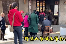 农村30年老油坊，实拍野生山茶油压榨全过程，一群人聚集围观视频封面