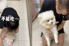 女子忽悠狗吃药，把药掉地上故意喊“不能吃”，狗子立马炫完视频封面
