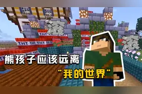 熊孩子应该远离我的世界？2次炸毁绝症患者的服务器，太坑爹！
