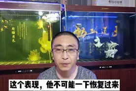 为什么观赏鱼摄食喜欢吞吞吐吐，都有哪些原因？判断其实很简单