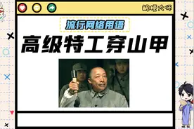 【高级特工穿山甲】是什么梗？视频封面