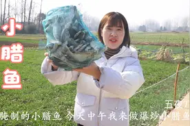 公公拿出入冬腌制的鱼，梅子爆炒一大盘，腌制的小腊鱼吃的真够味视频封面