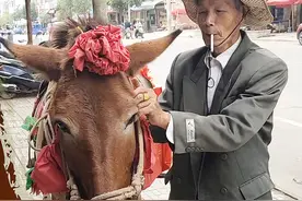 一大早上街，遇到一位80岁老爷爷骑马去县城办大事视频封面