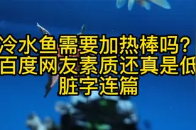 冷水鱼需要加热棒吗？百度网友素质海真是低，脏话连篇视频封面