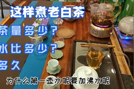 如何煮老白茶（一）手把手教您这样煮白茶，香甜又有层次感视频封面