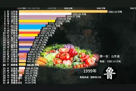 数据统计：国内蔬菜产量山东省第一视频封面